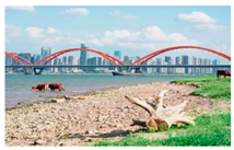 Buildings 14 03385 i004