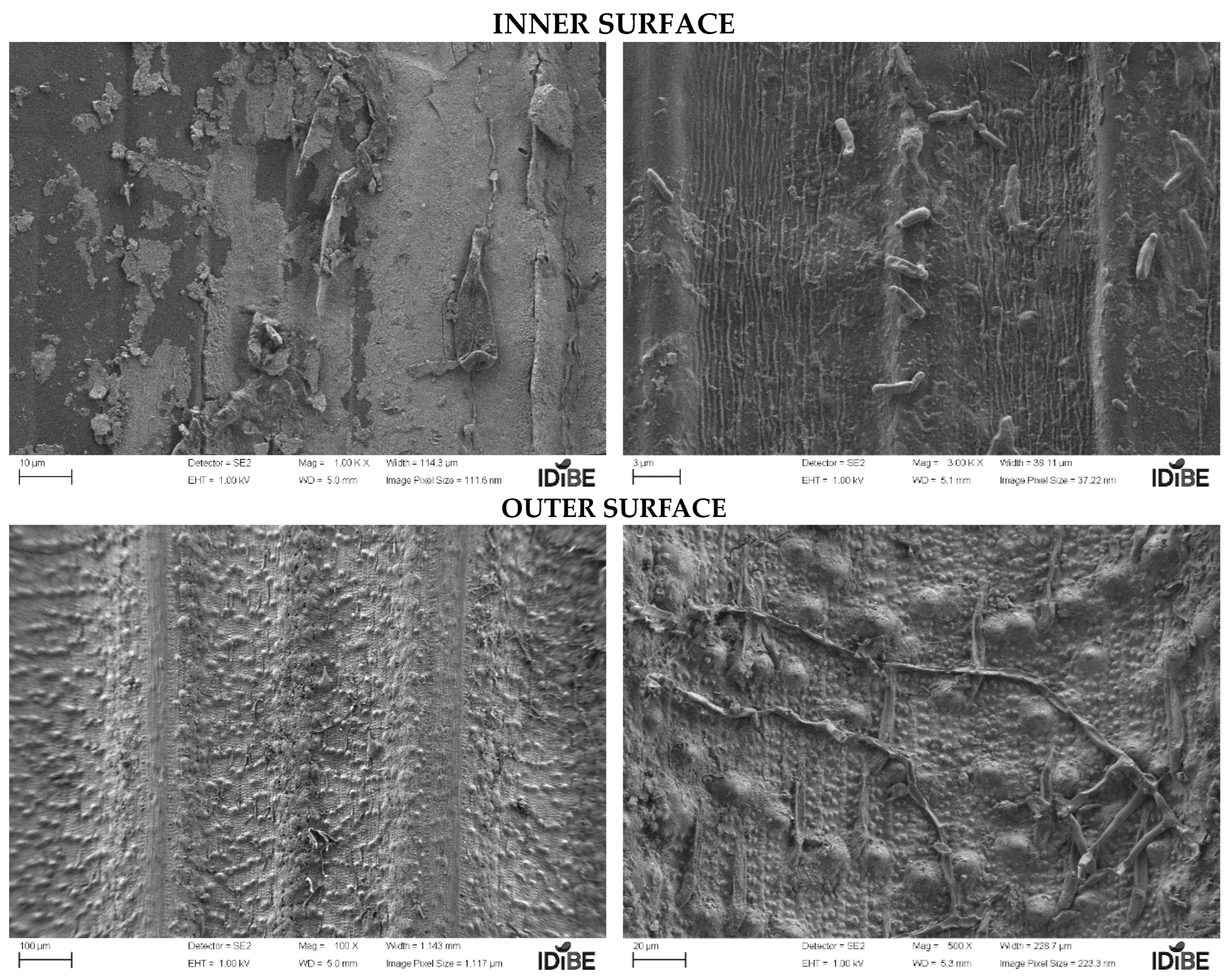 Buildings 14 03440 g002