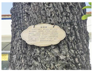 Buildings 14 03535 i003