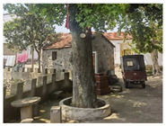 Buildings 14 03535 i009