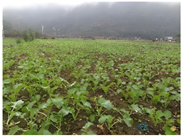 Buildings 14 03535 i017