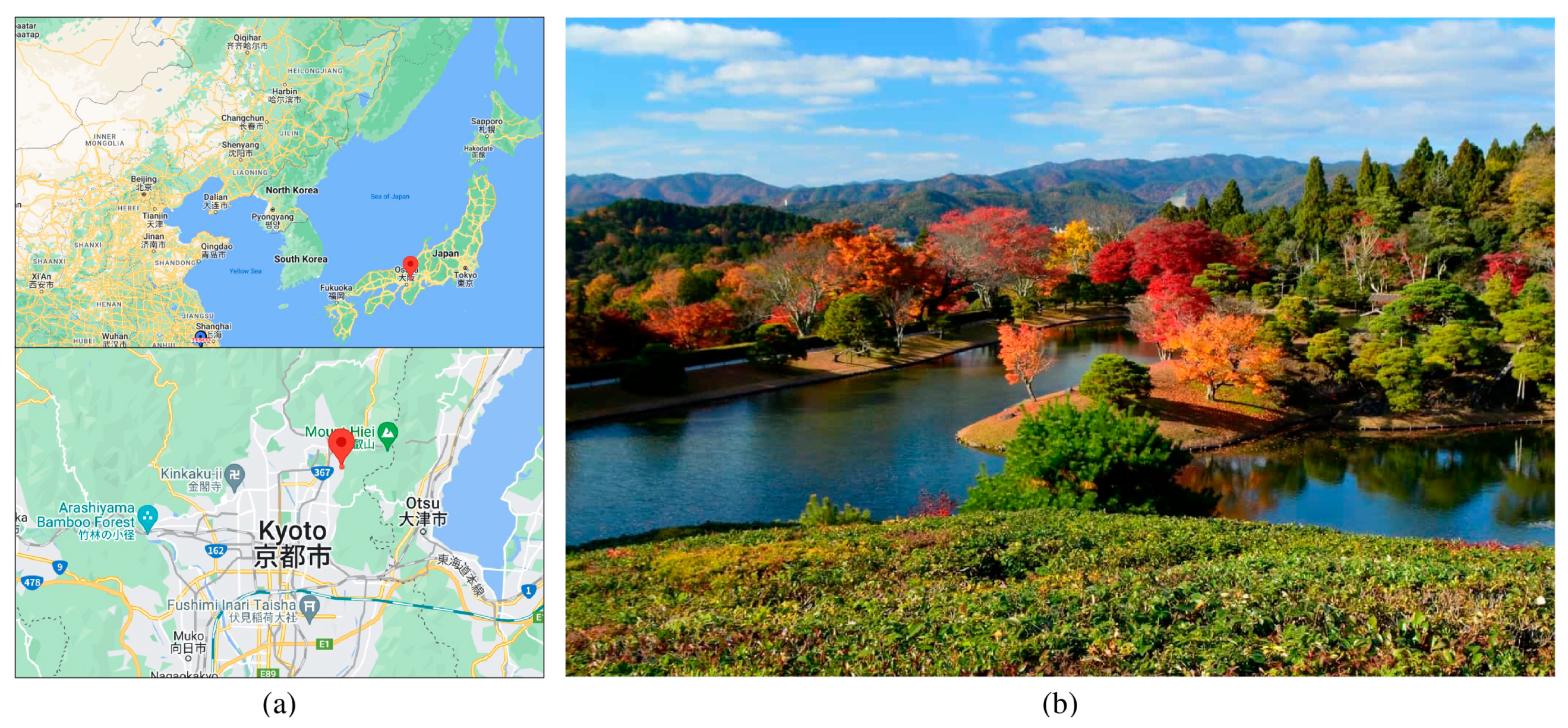 Buildings 14 03557 g003