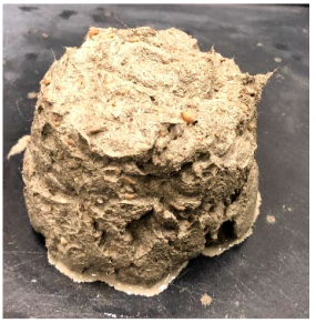 Buildings 14 03580 i006