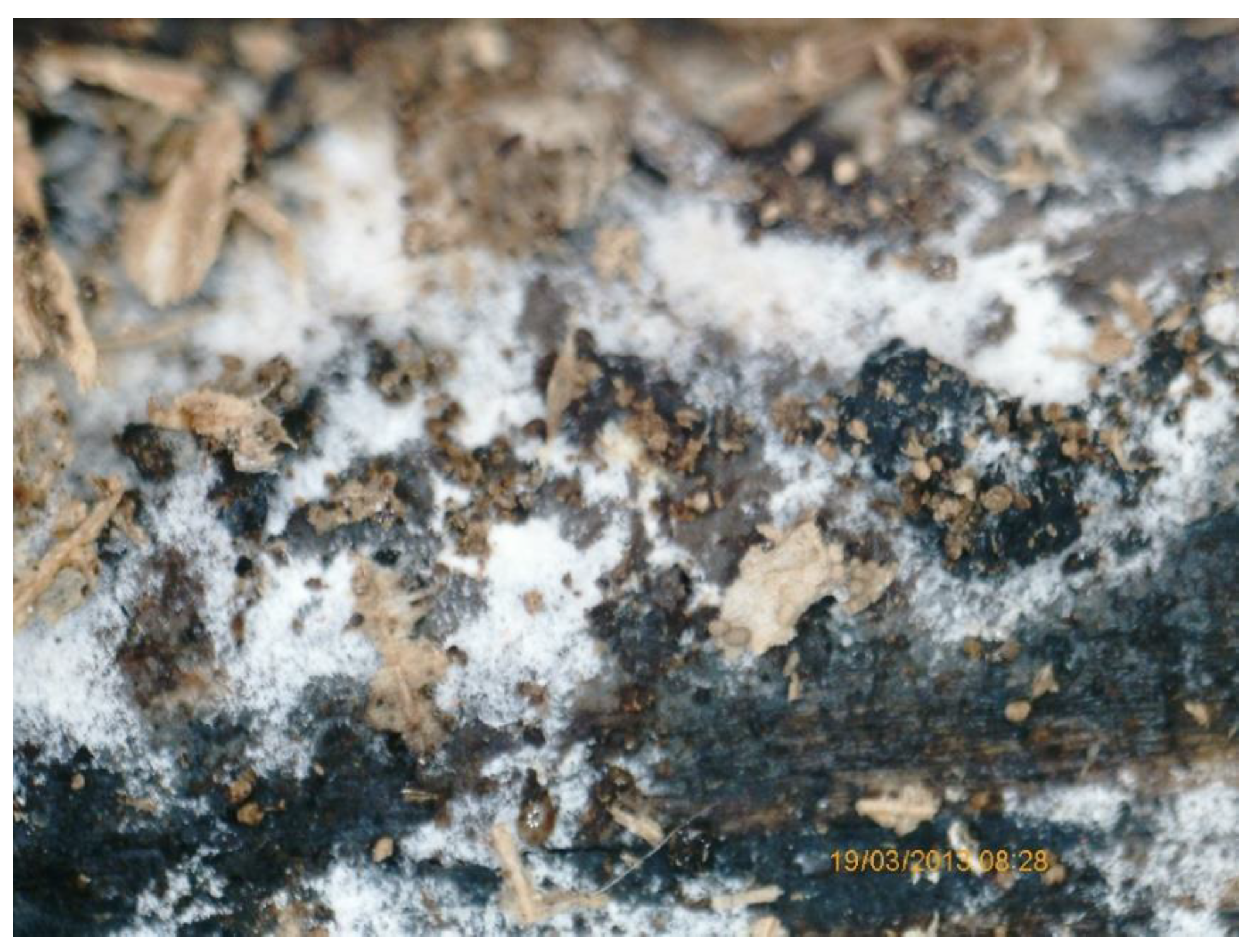 Buildings 14 03794 g006