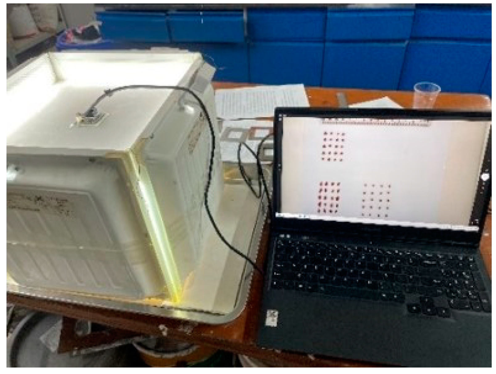 Buildings 14 03831 g004