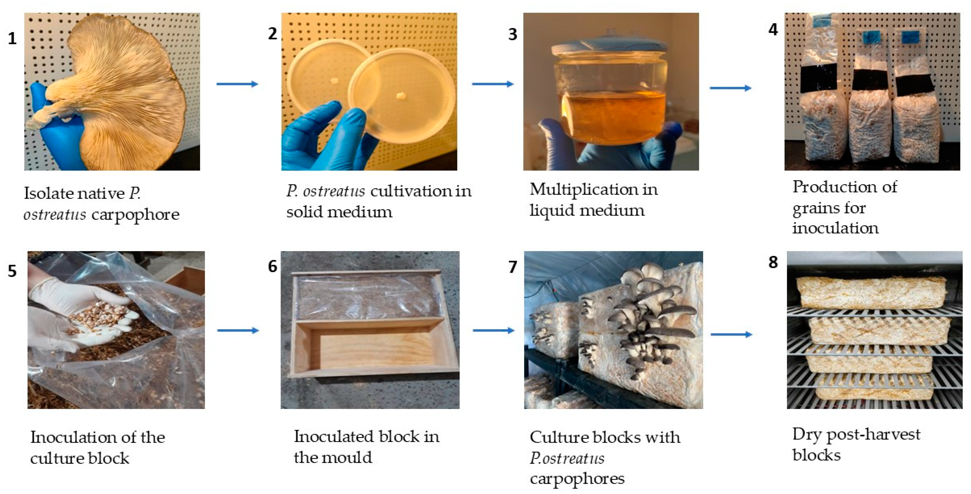 Buildings 14 03908 g002