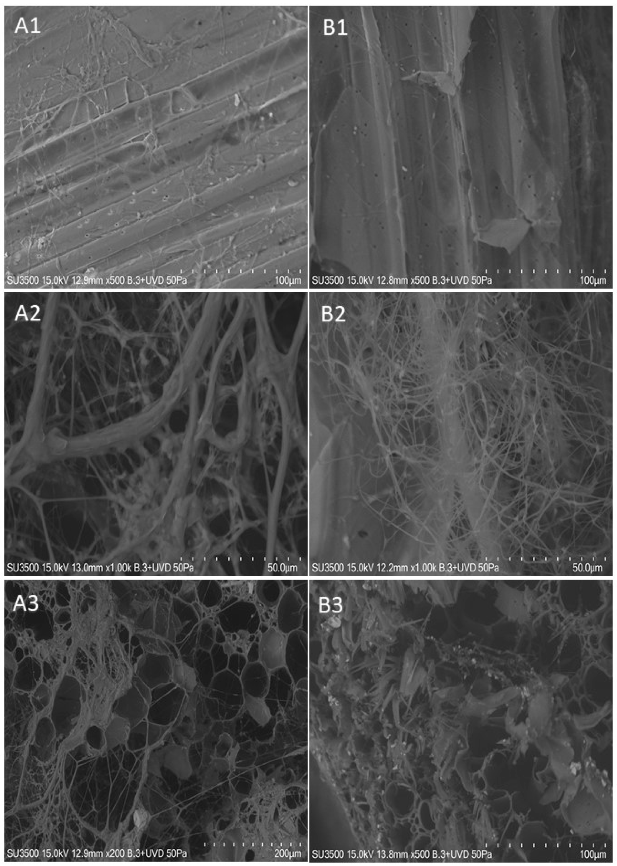 Buildings 14 03908 g003