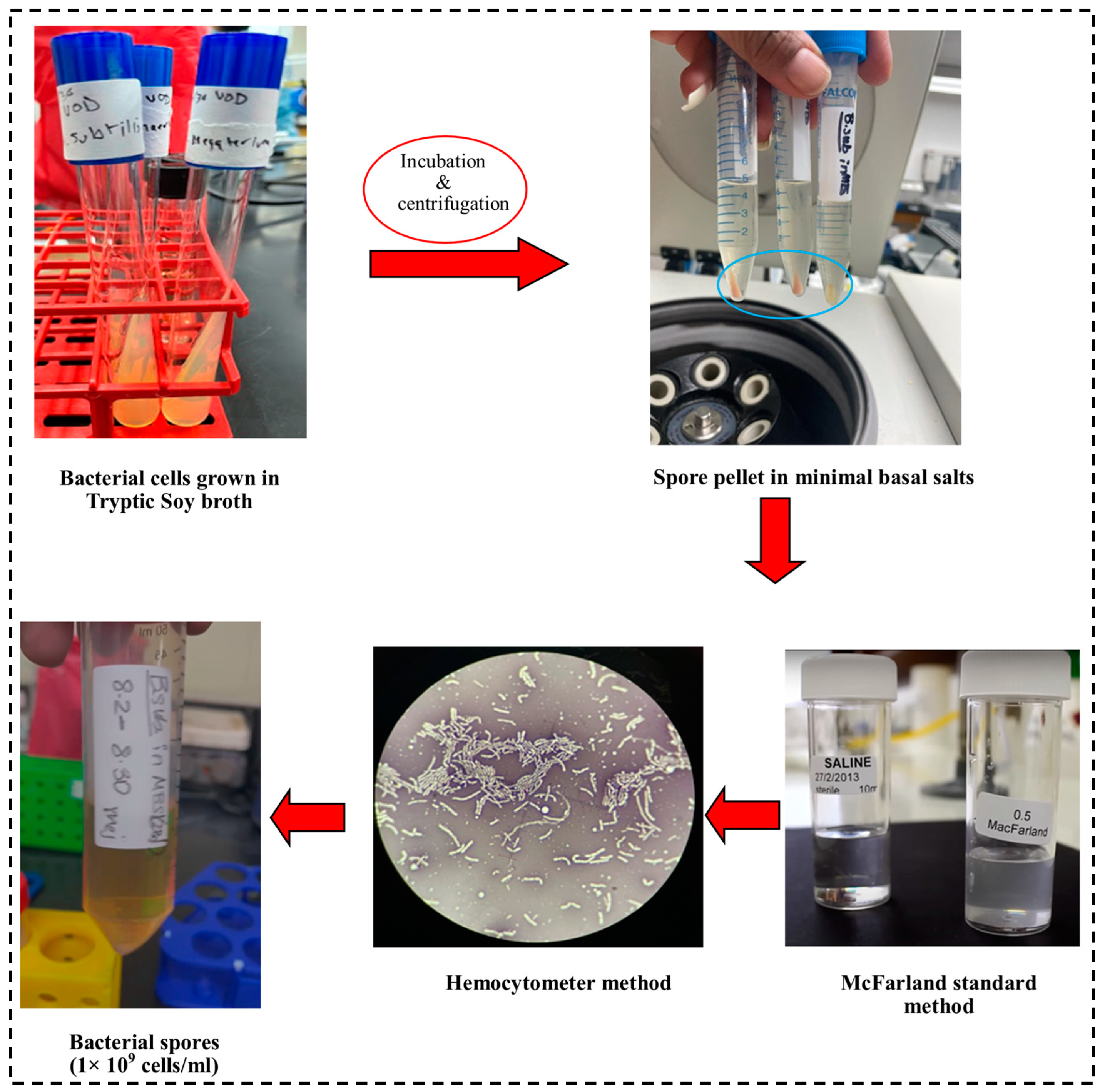 Buildings 14 03916 g001