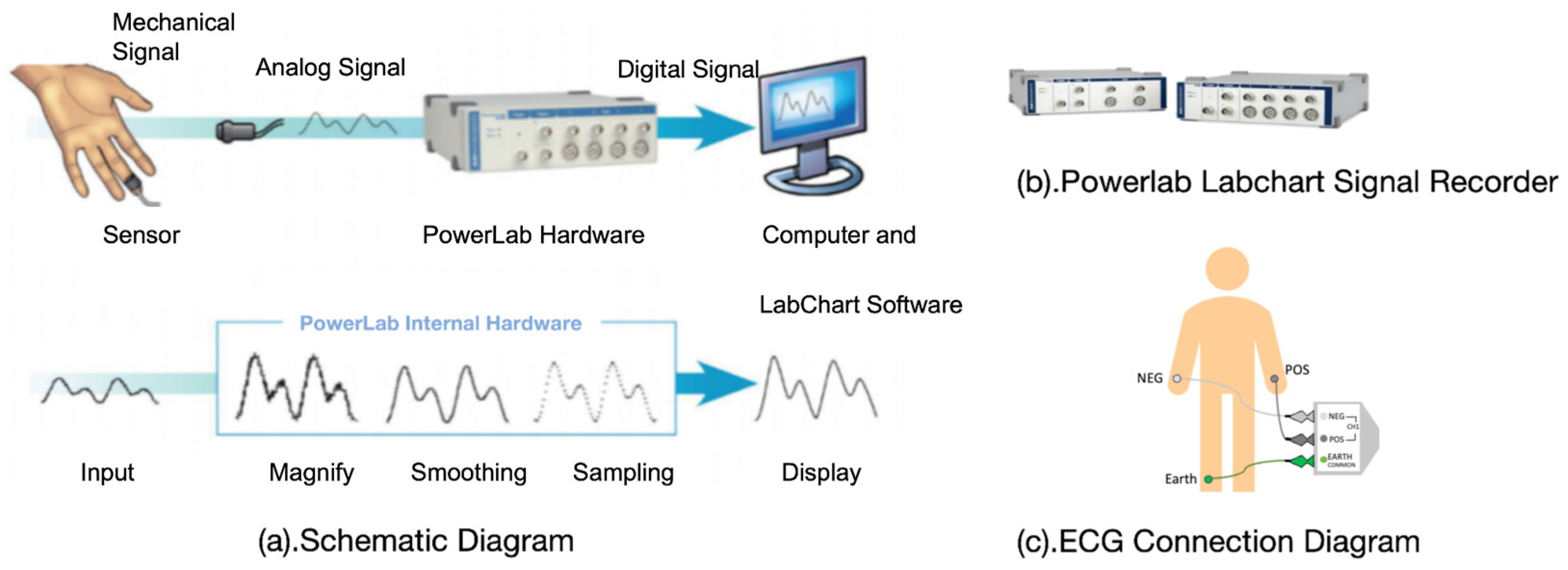 Buildings 14 03996 g004