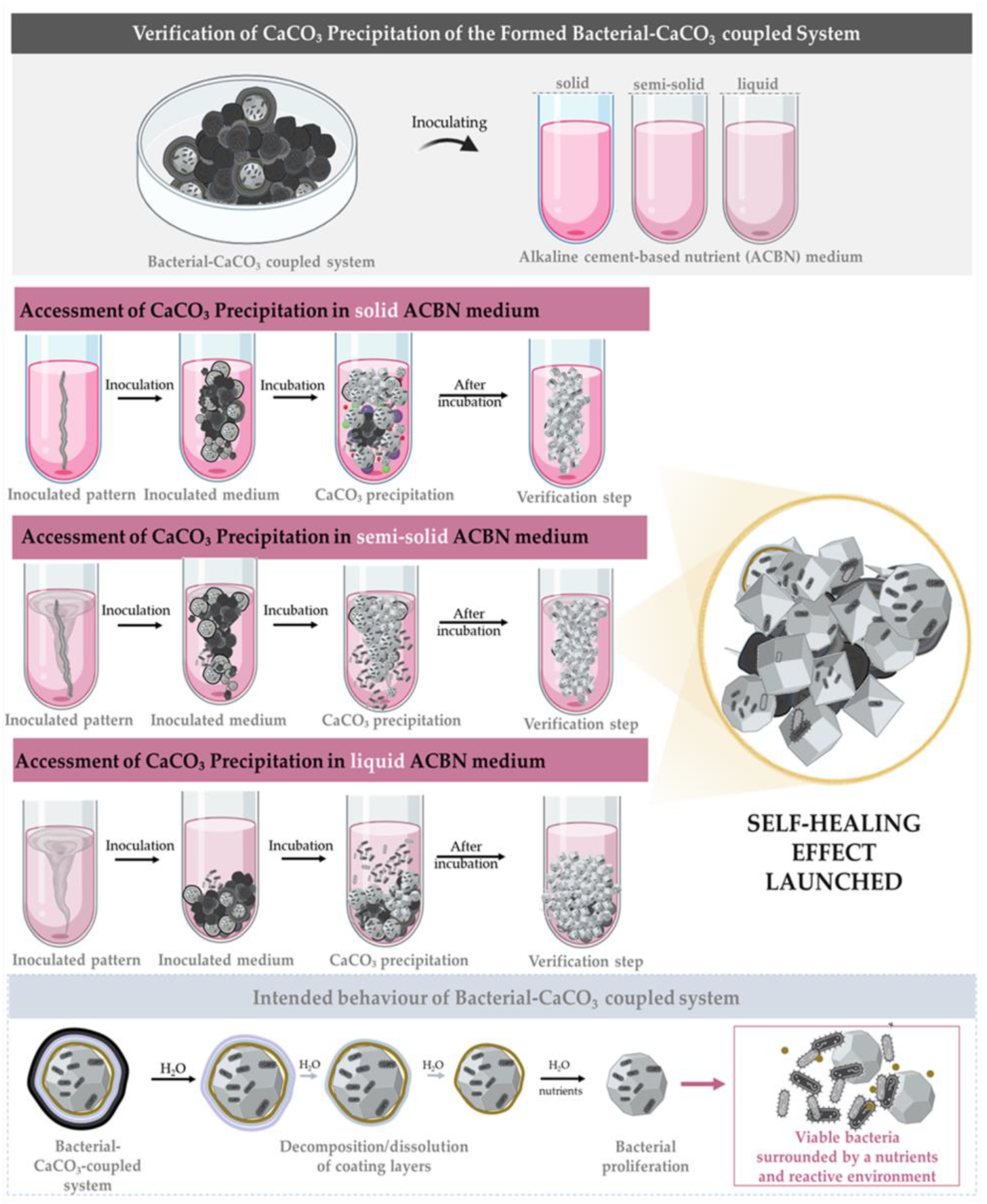 Buildings 14 04011 g002