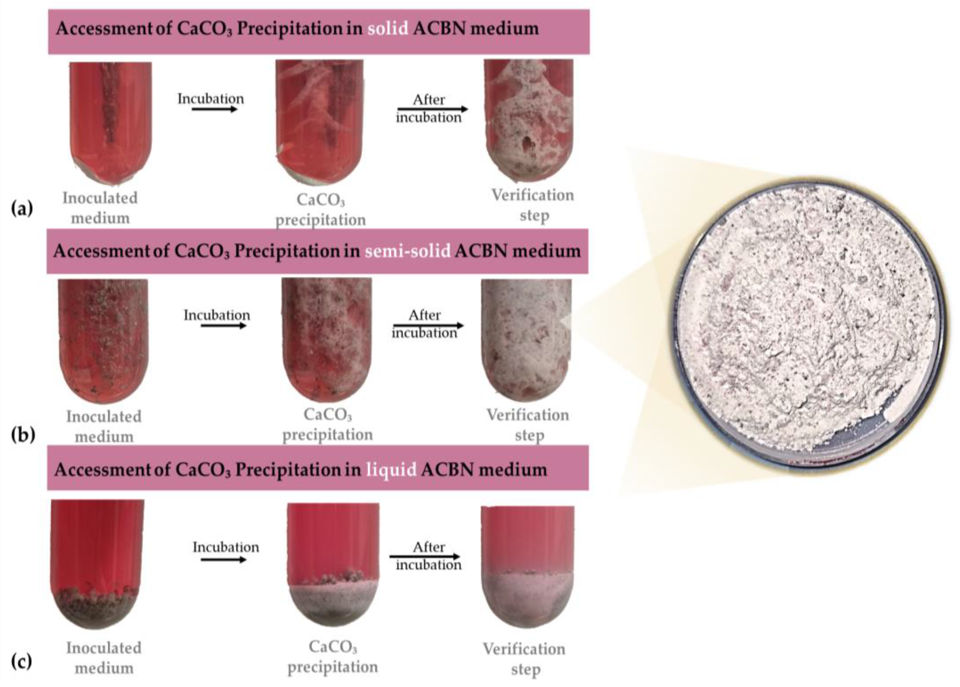 Buildings 14 04011 g006