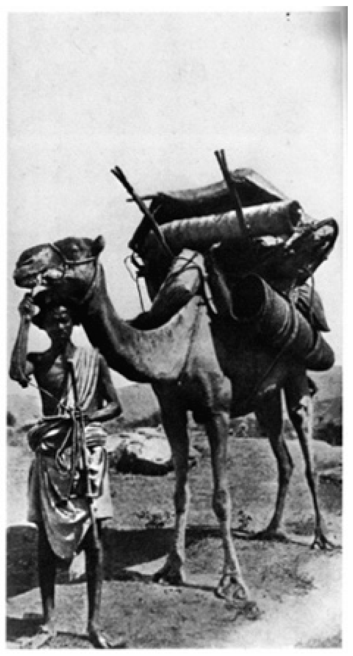 Buildings 14 04072 g012