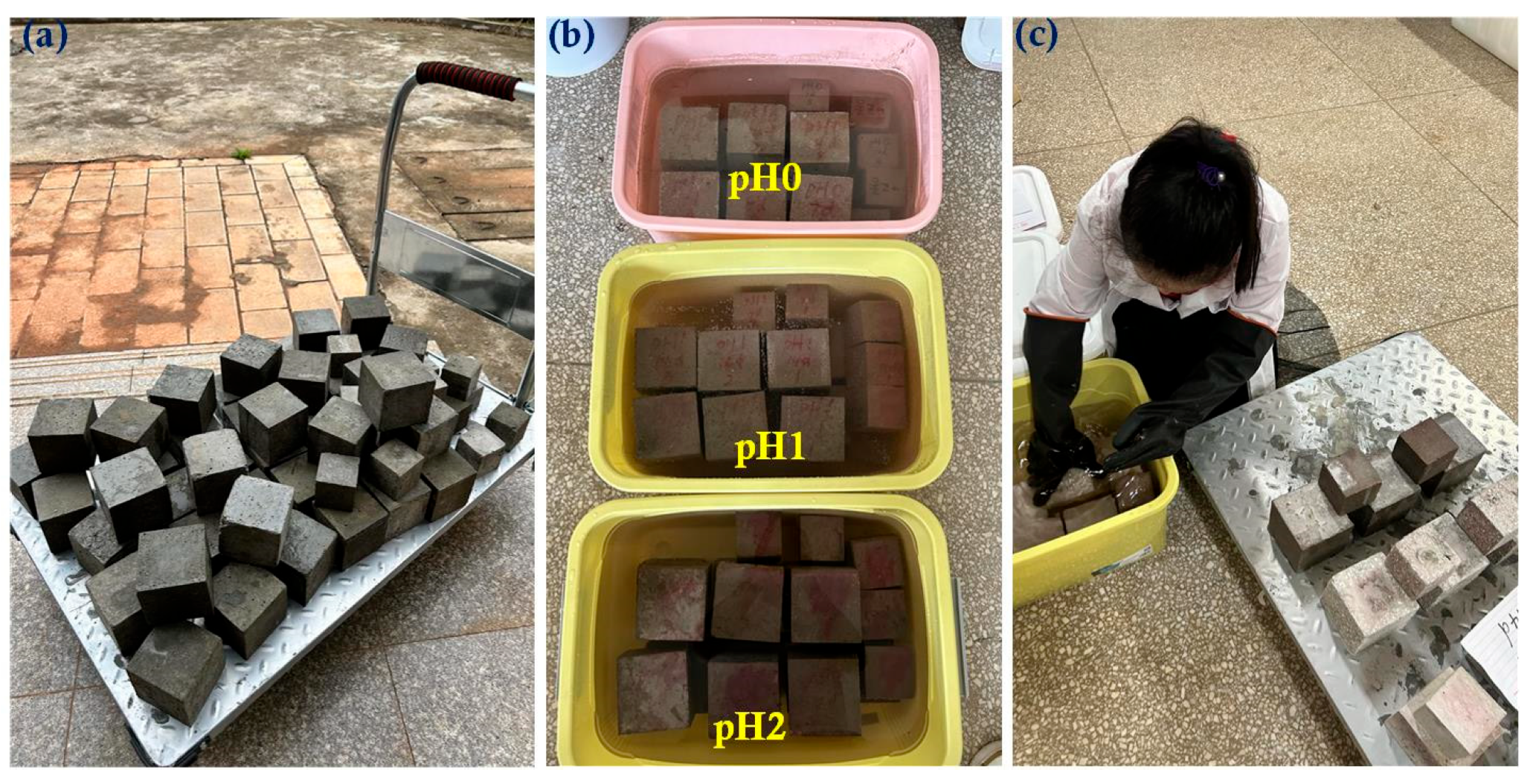 Buildings 15 00120 g001