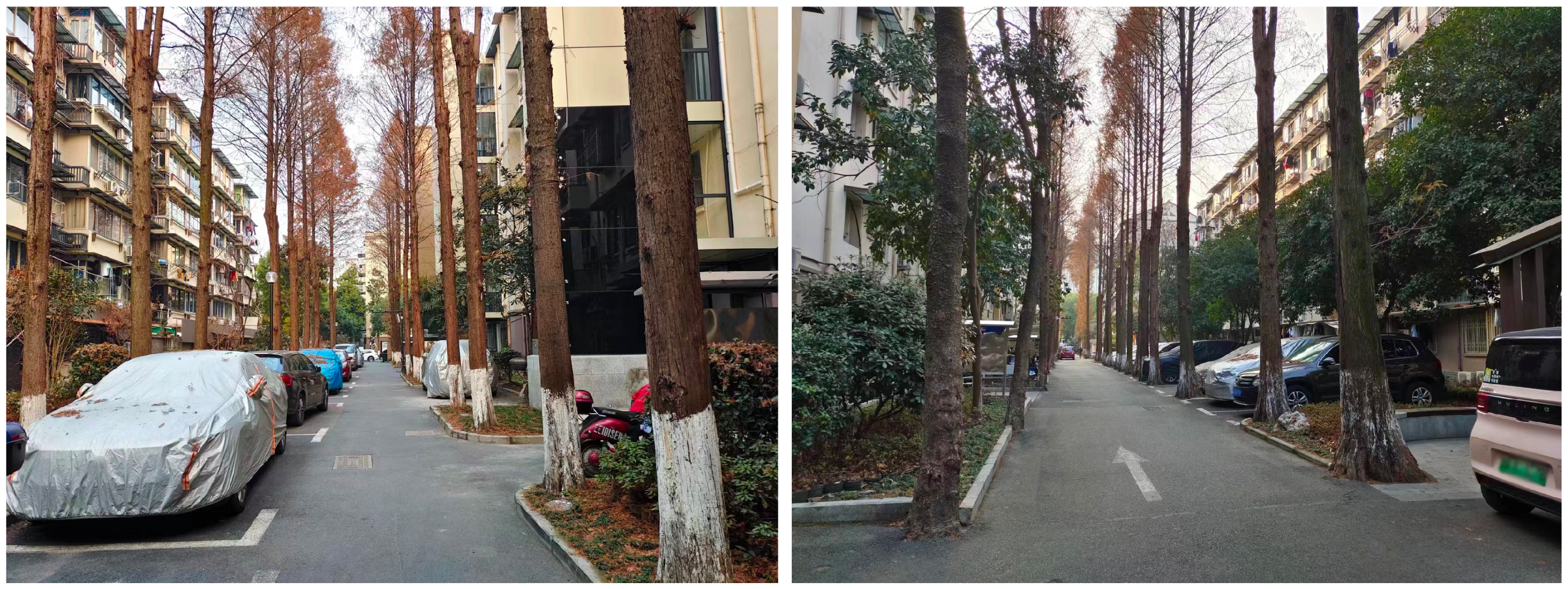 Buildings 15 00211 g005