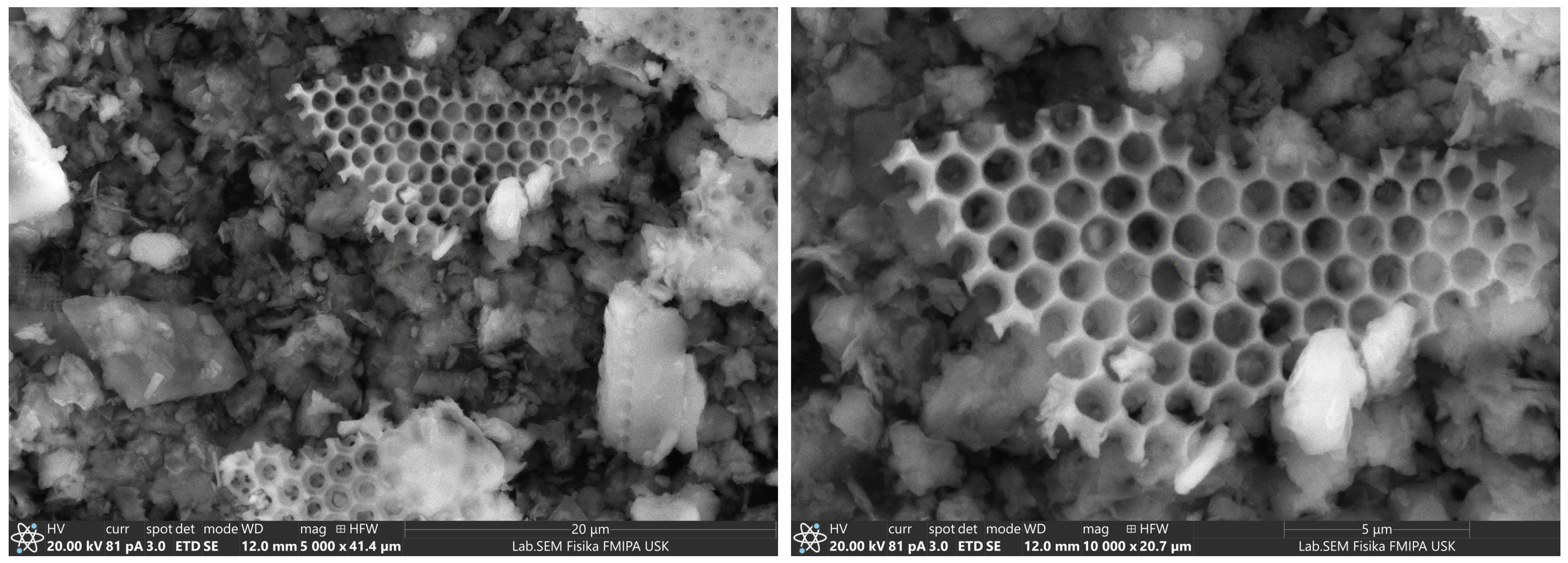 Buildings 15 00225 g003