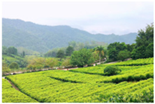 Buildings 15 00259 i001 Buildings 15 00259 i001