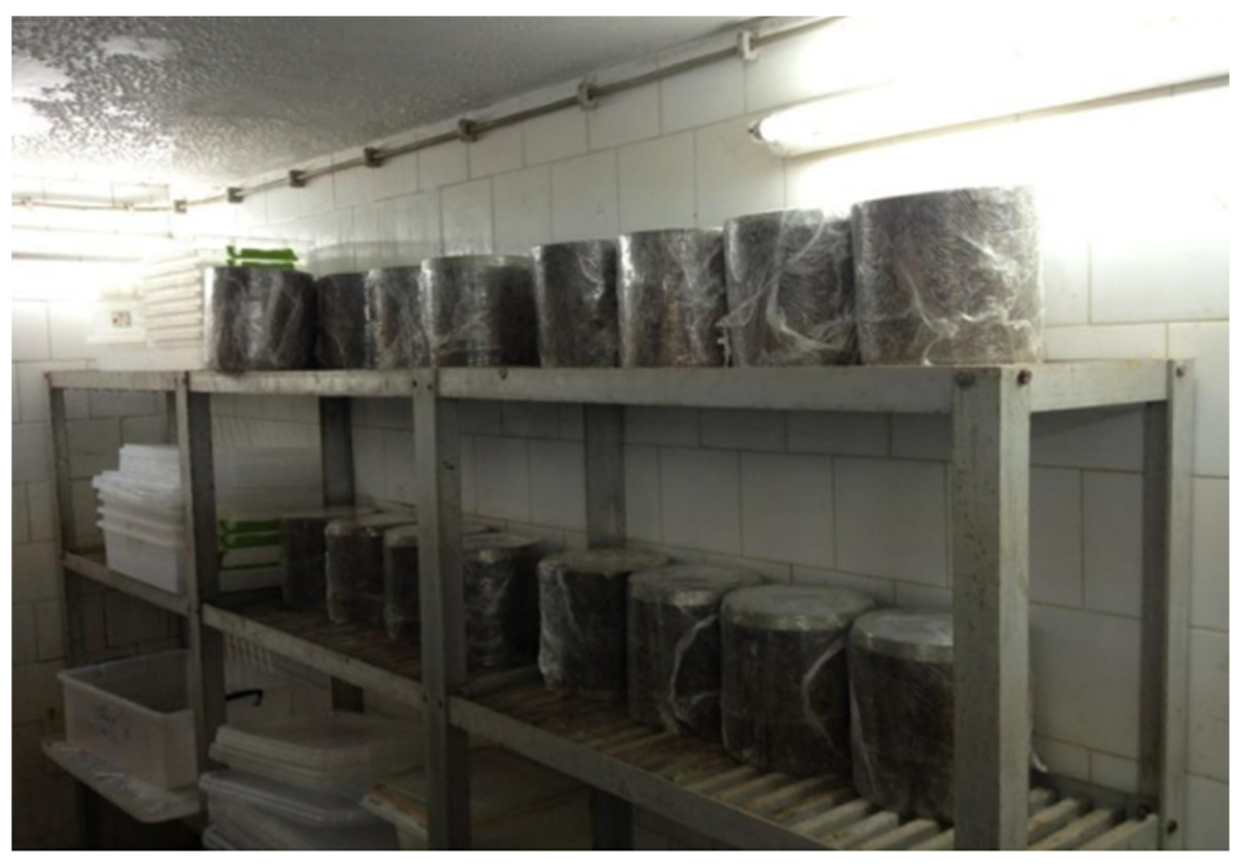 Buildings 15 00288 g005