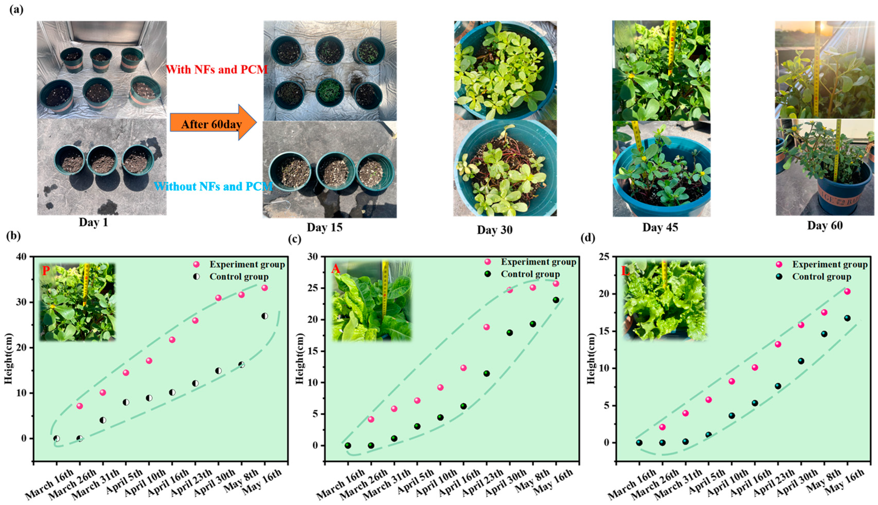 Buildings 15 00314 g013