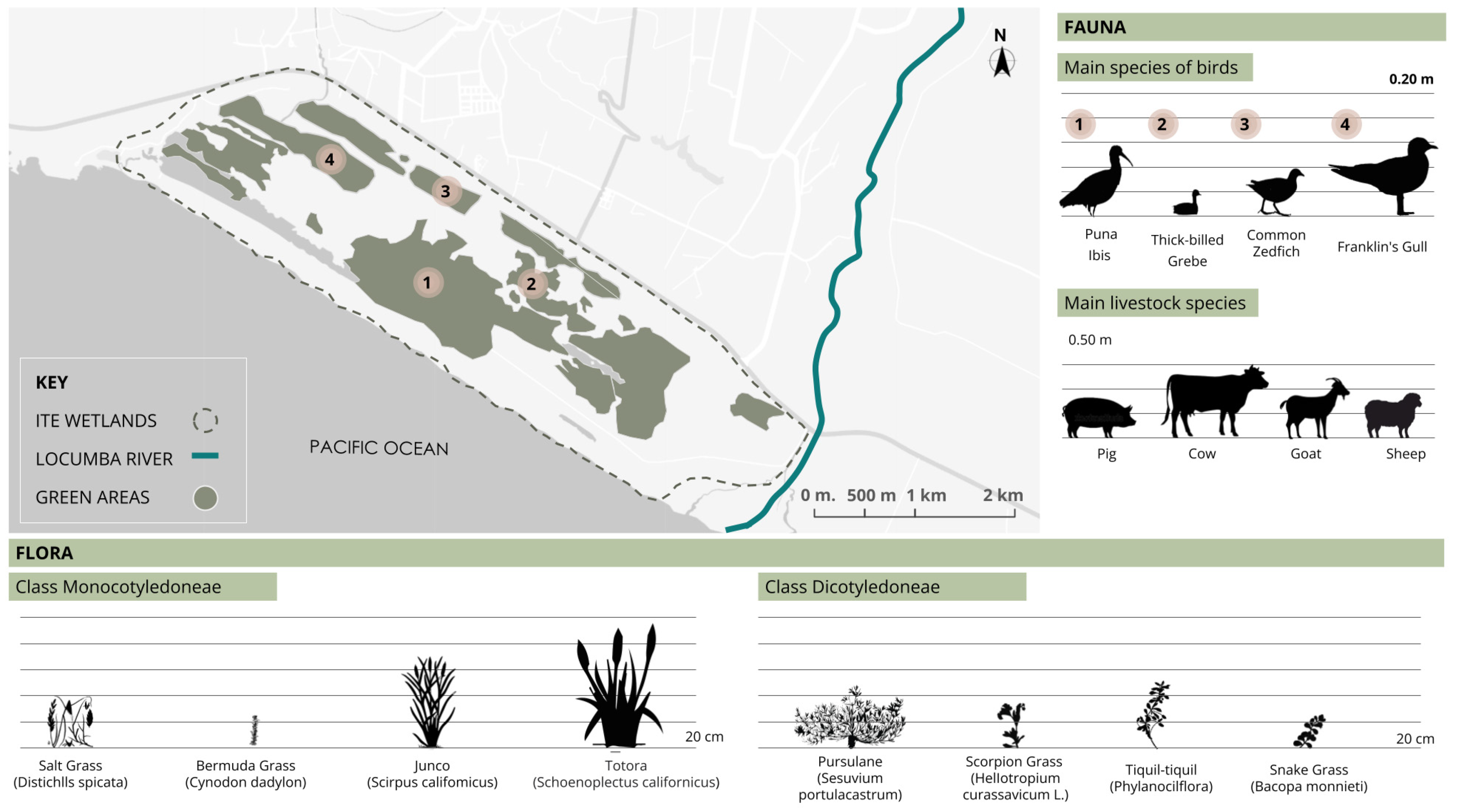 Buildings 15 00355 g008