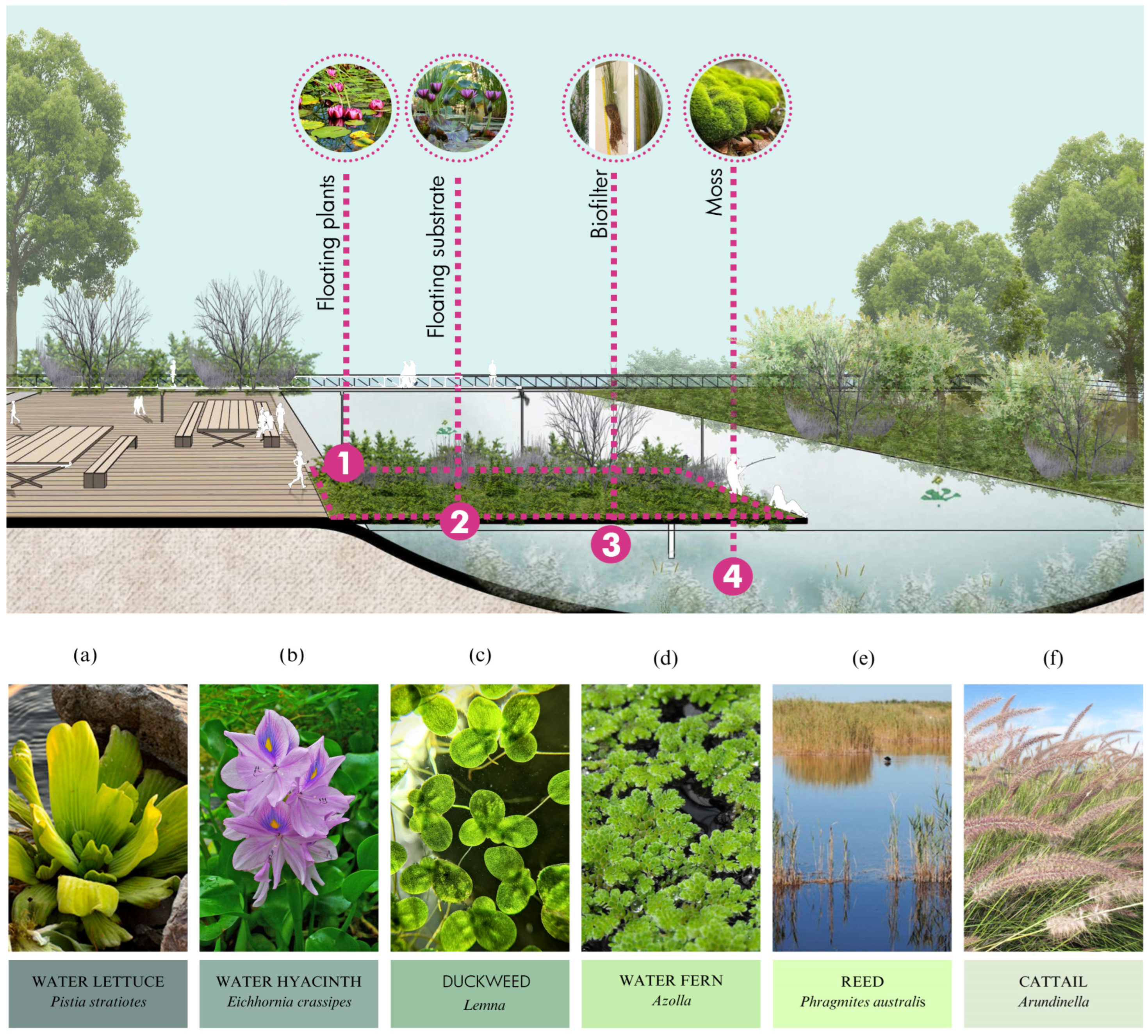 Buildings 15 00355 g013