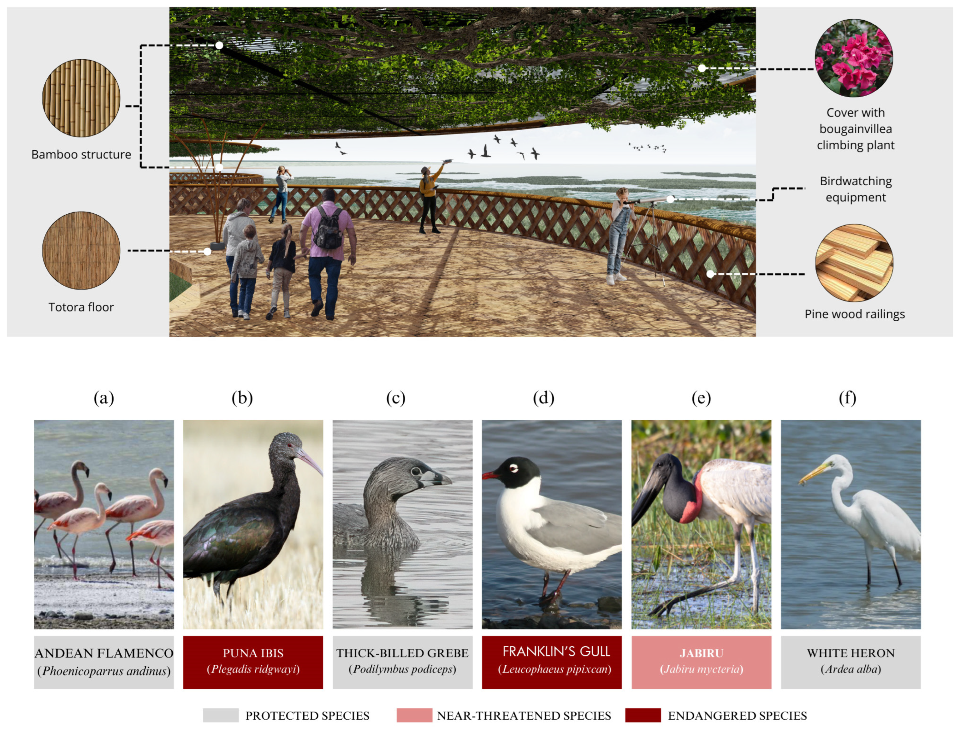 Buildings 15 00355 g015