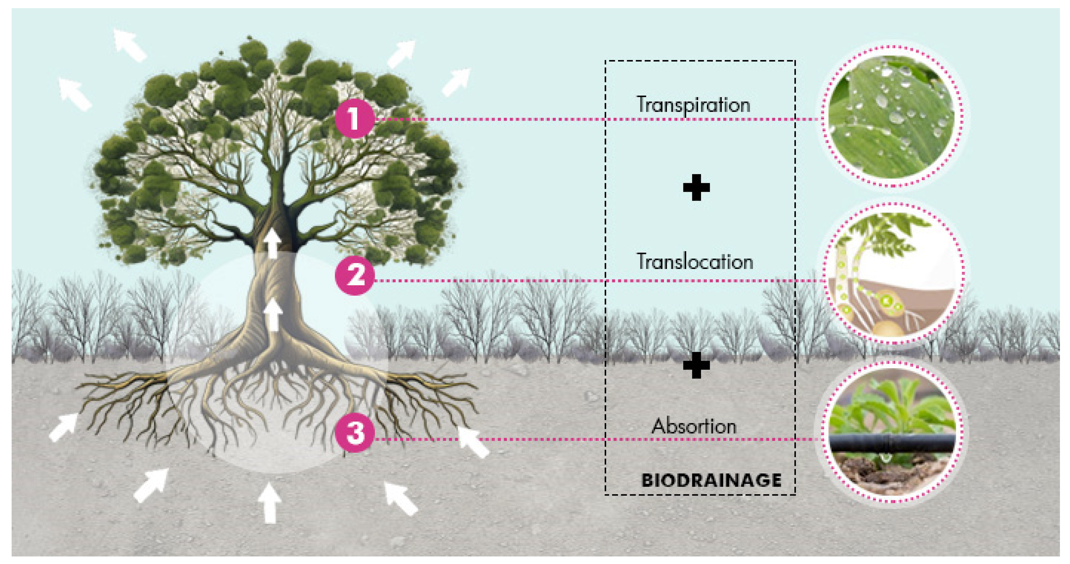 Buildings 15 00355 g019