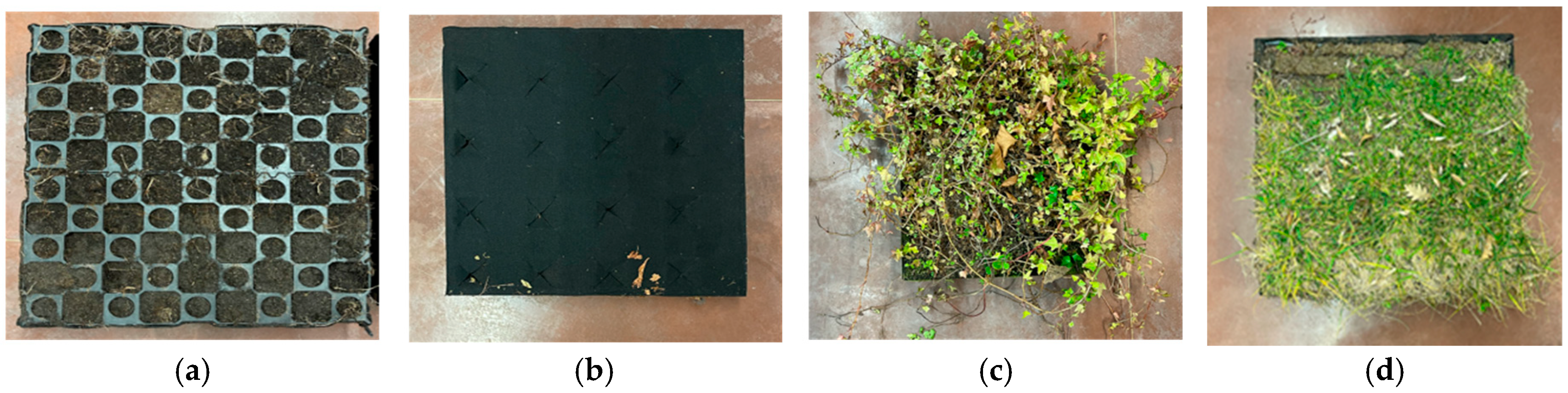 Buildings 15 00389 g002