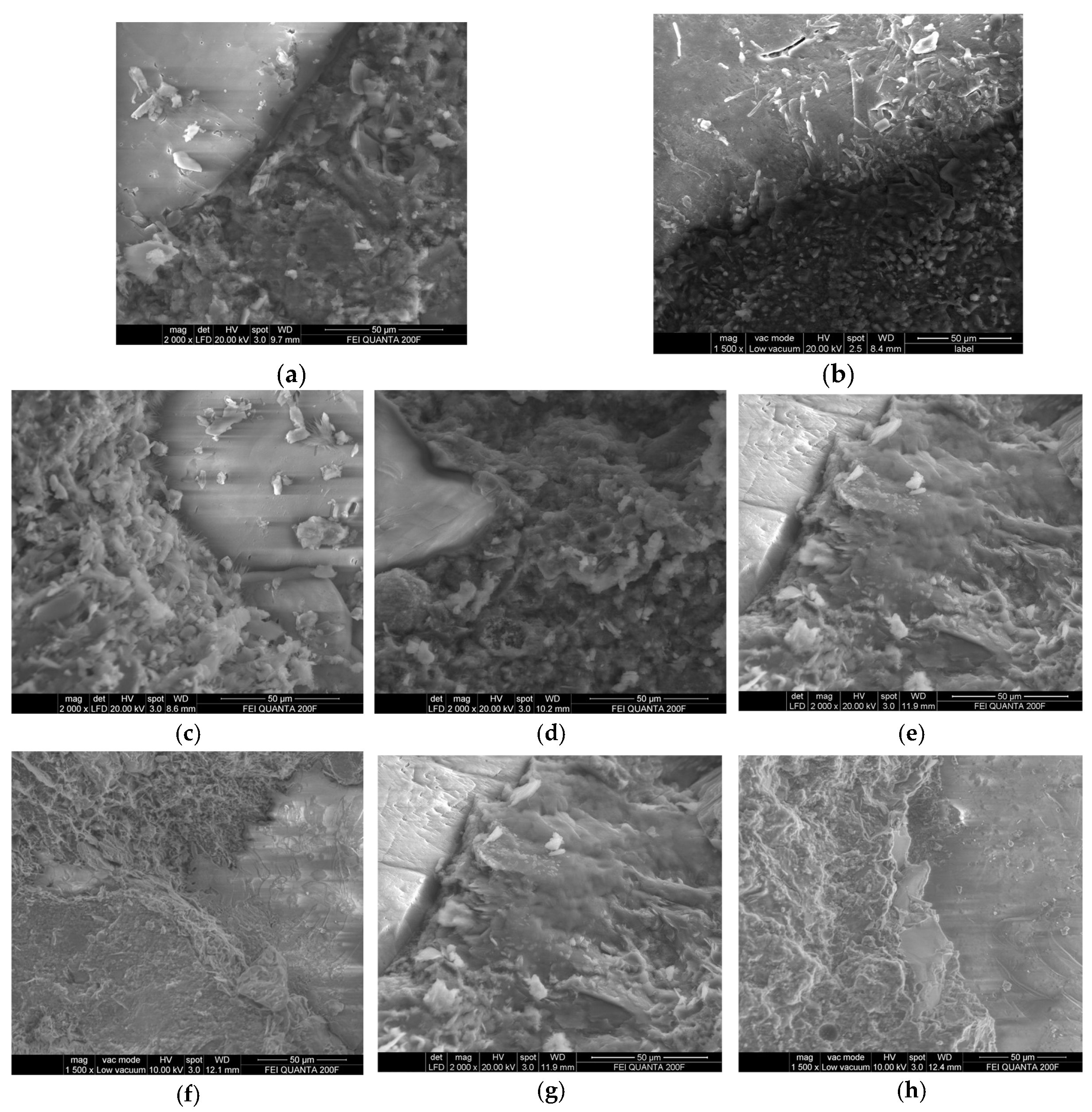 Buildings 15 00392 g004