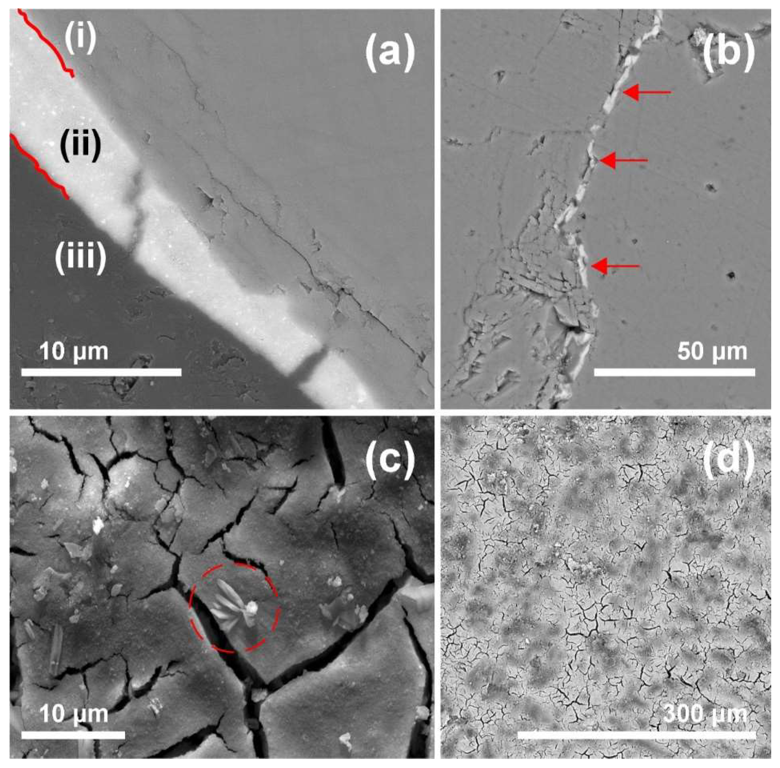 Buildings 15 00492 g005