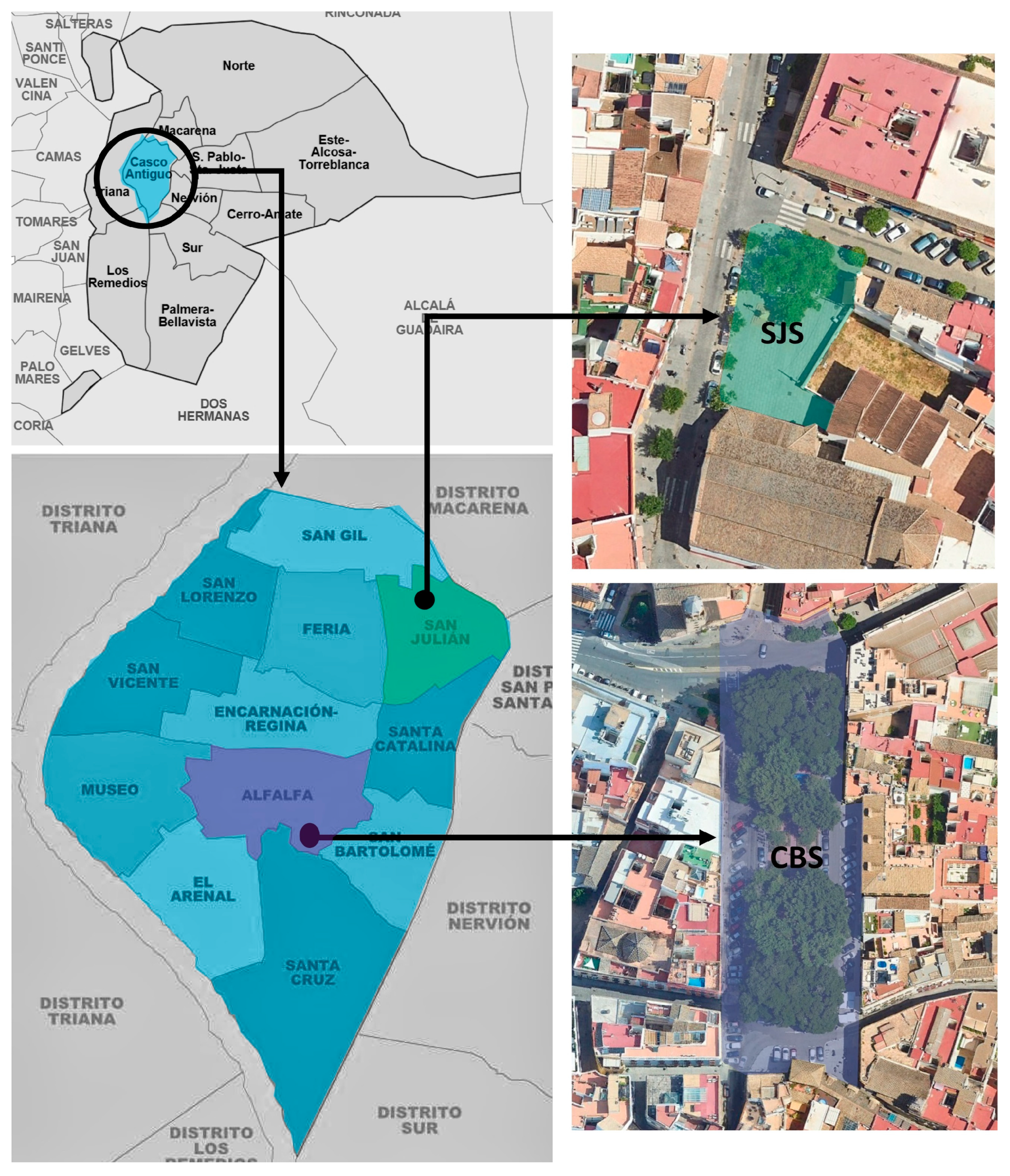 Buildings 15 00564 g002