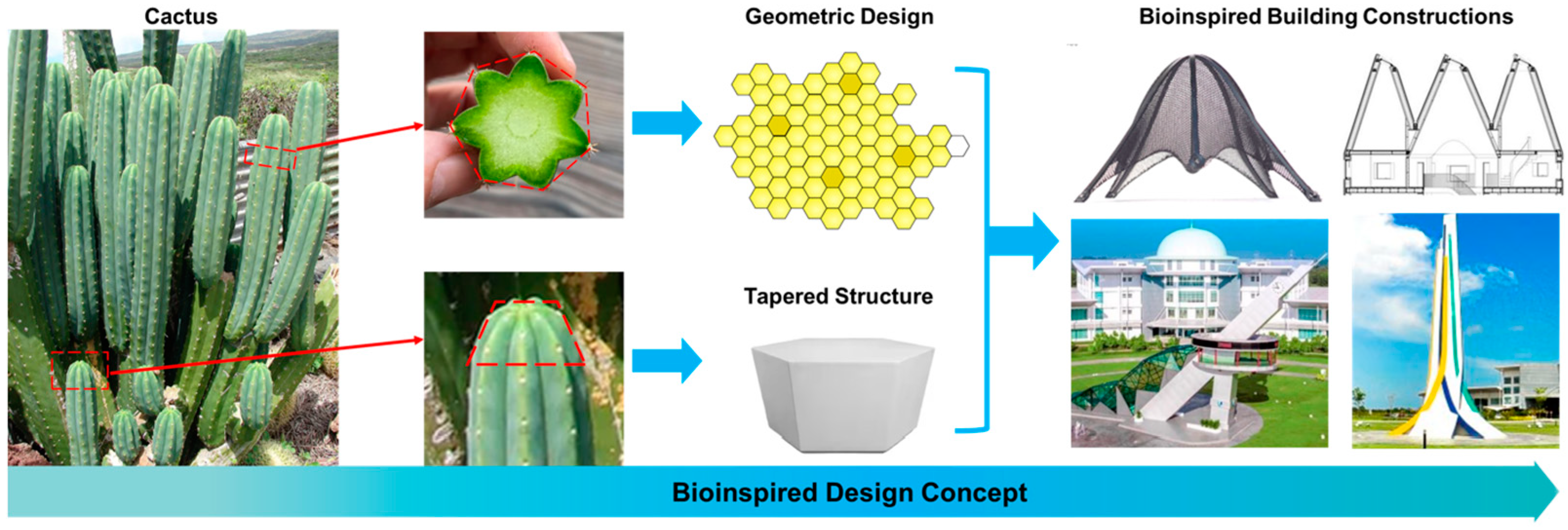 Buildings 15 00620 g002