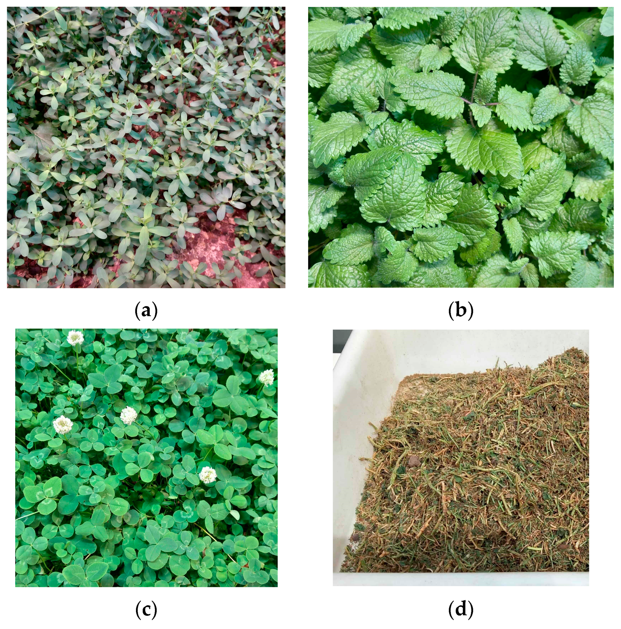 Buildings 15 00640 g001