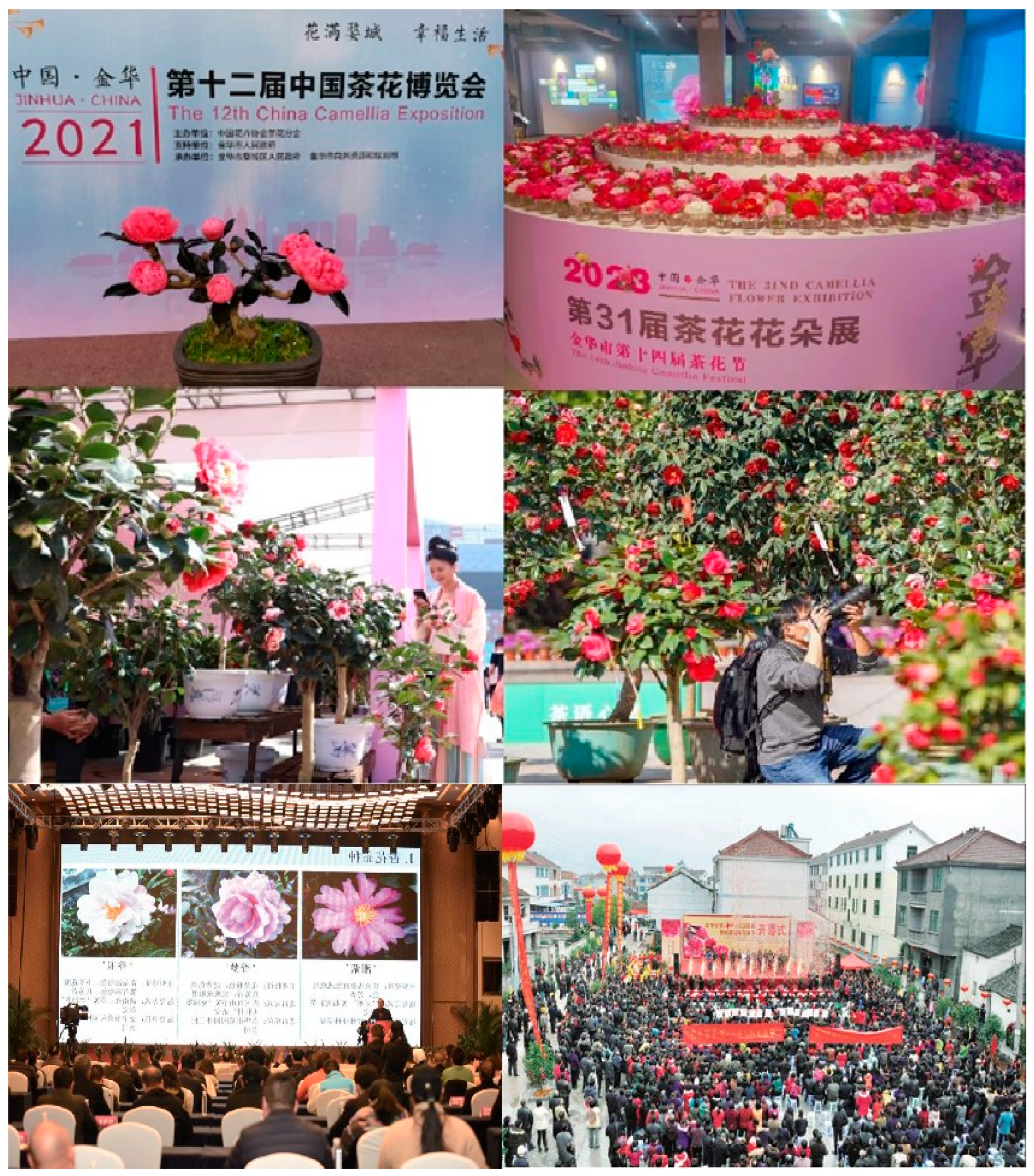 Buildings 15 00671 g007