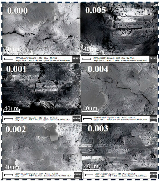 Investigation of the Impact of Material Rheology on the