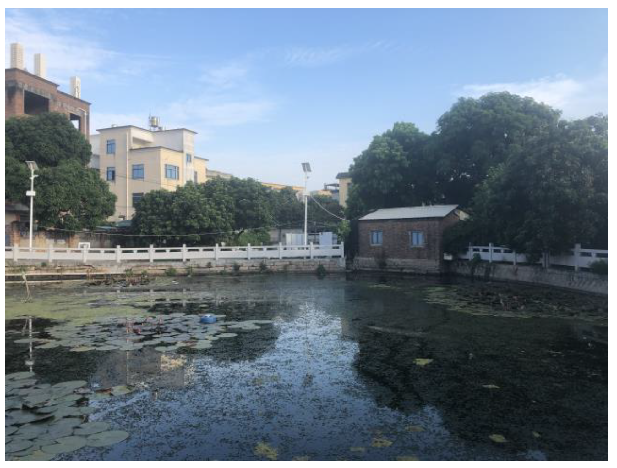 Buildings 15 00800 g021