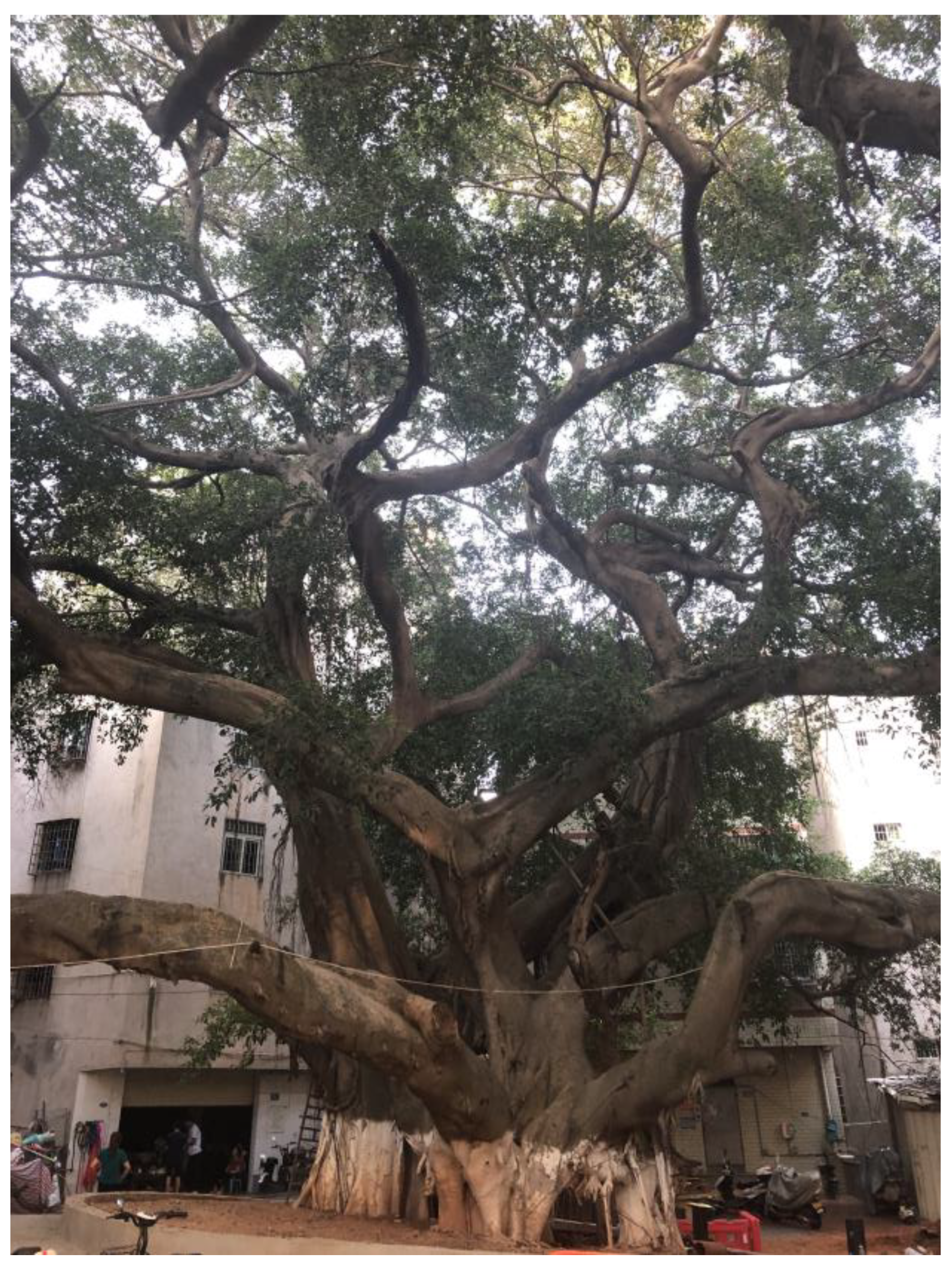 Buildings 15 00800 g023