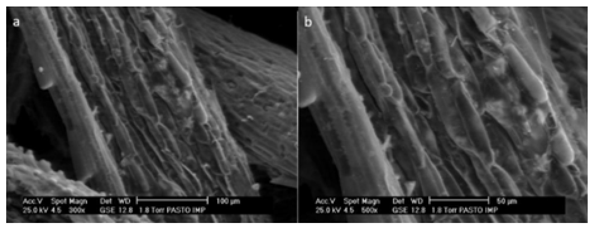 Buildings 15 00870 g013