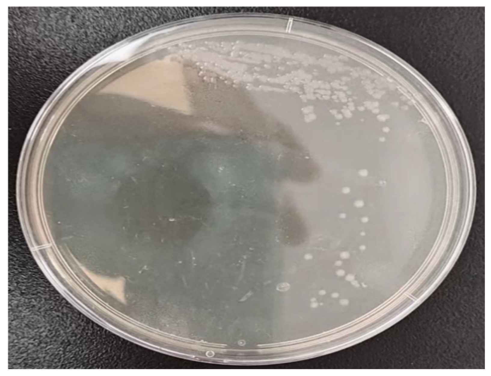 Buildings 15 00874 g001