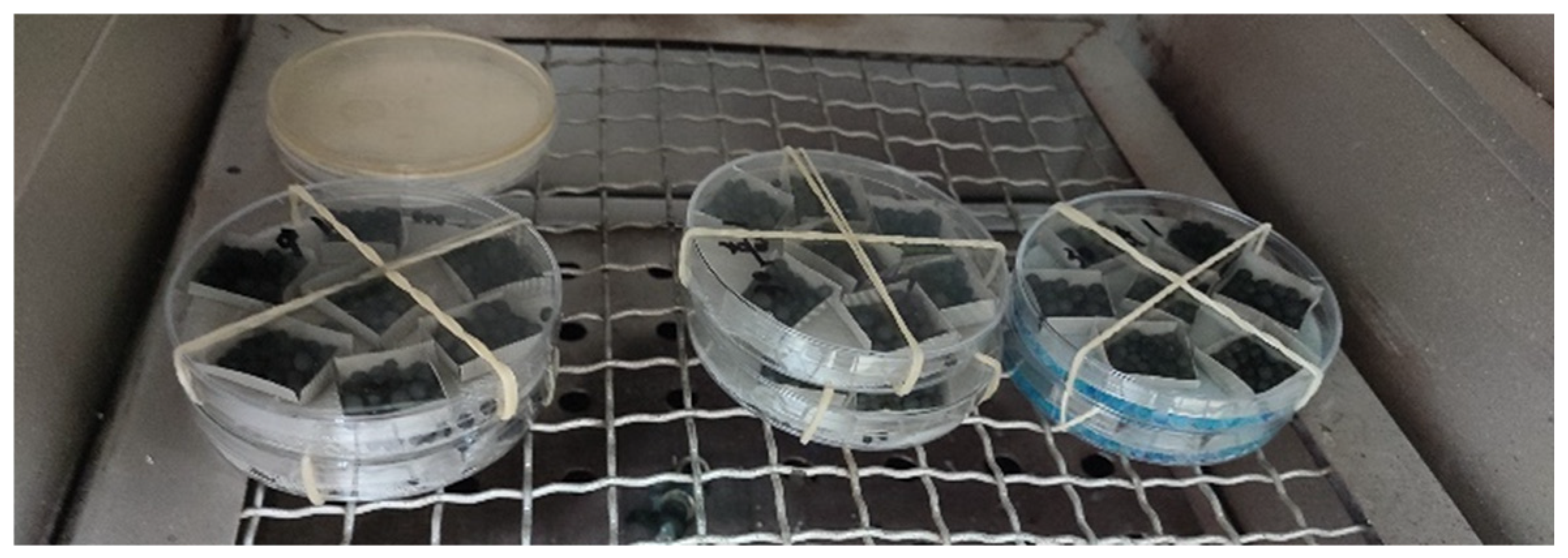 Buildings 15 00874 g003