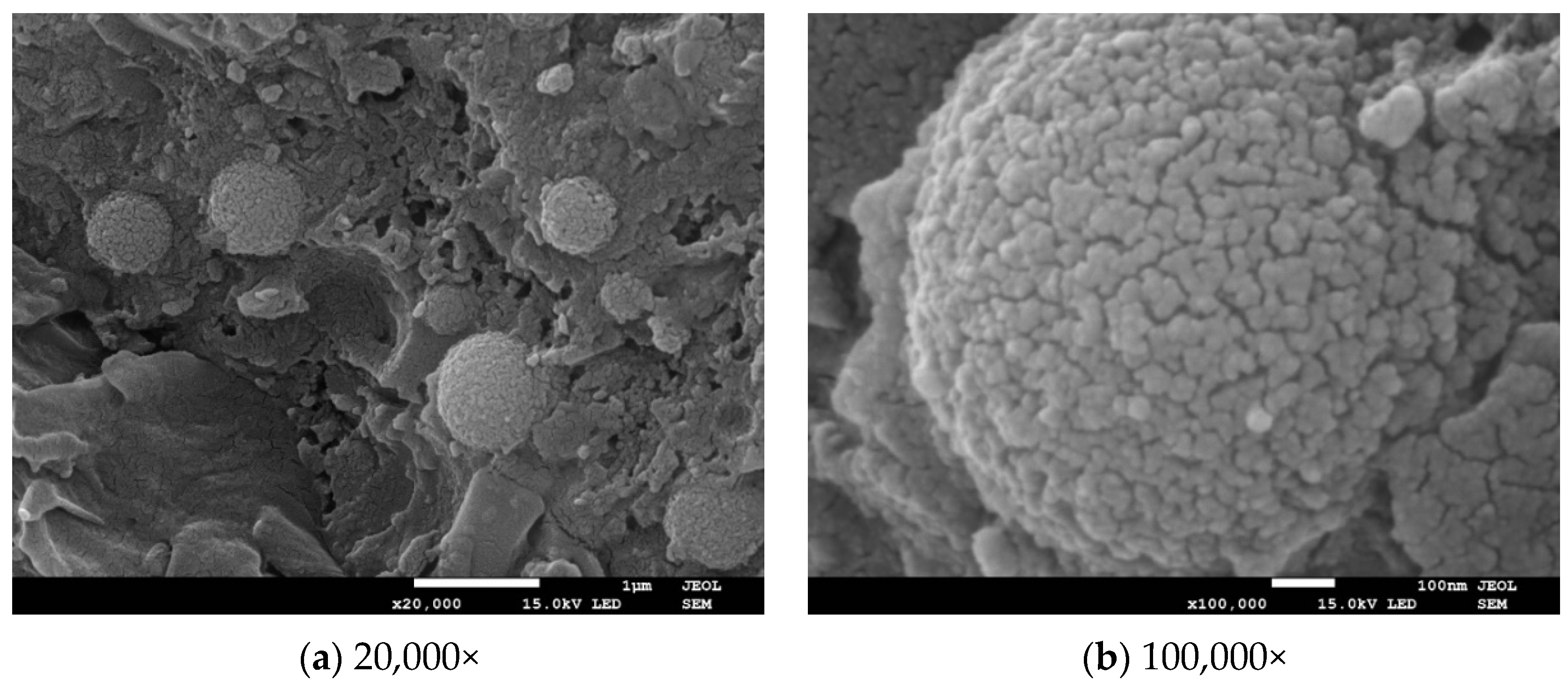 Buildings 15 00975 g016