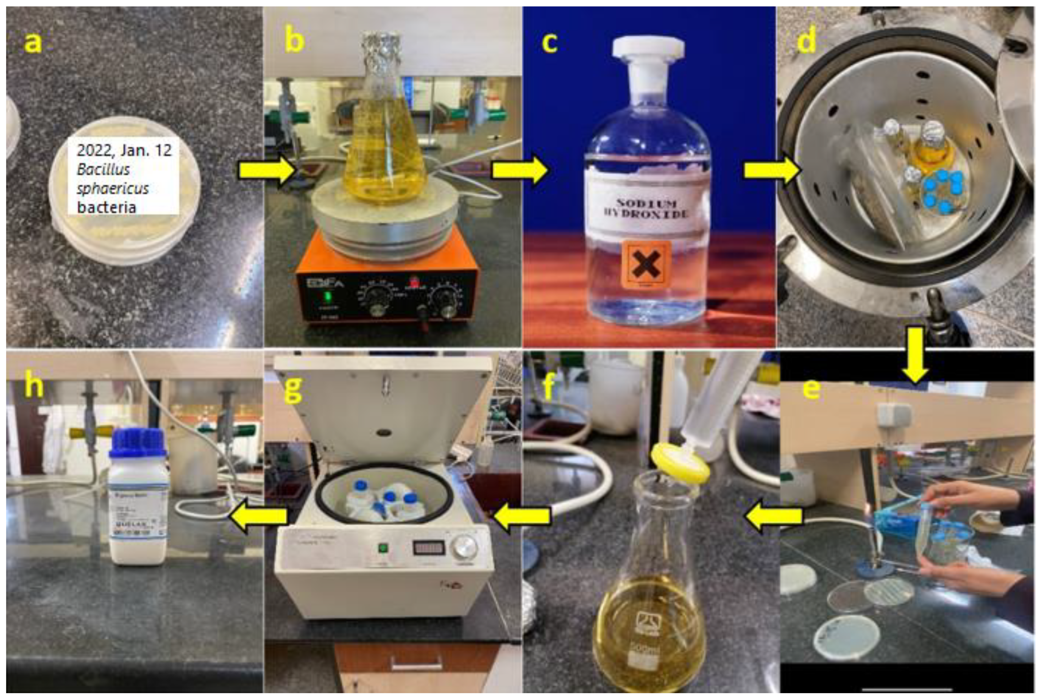 Buildings 15 01064 g001