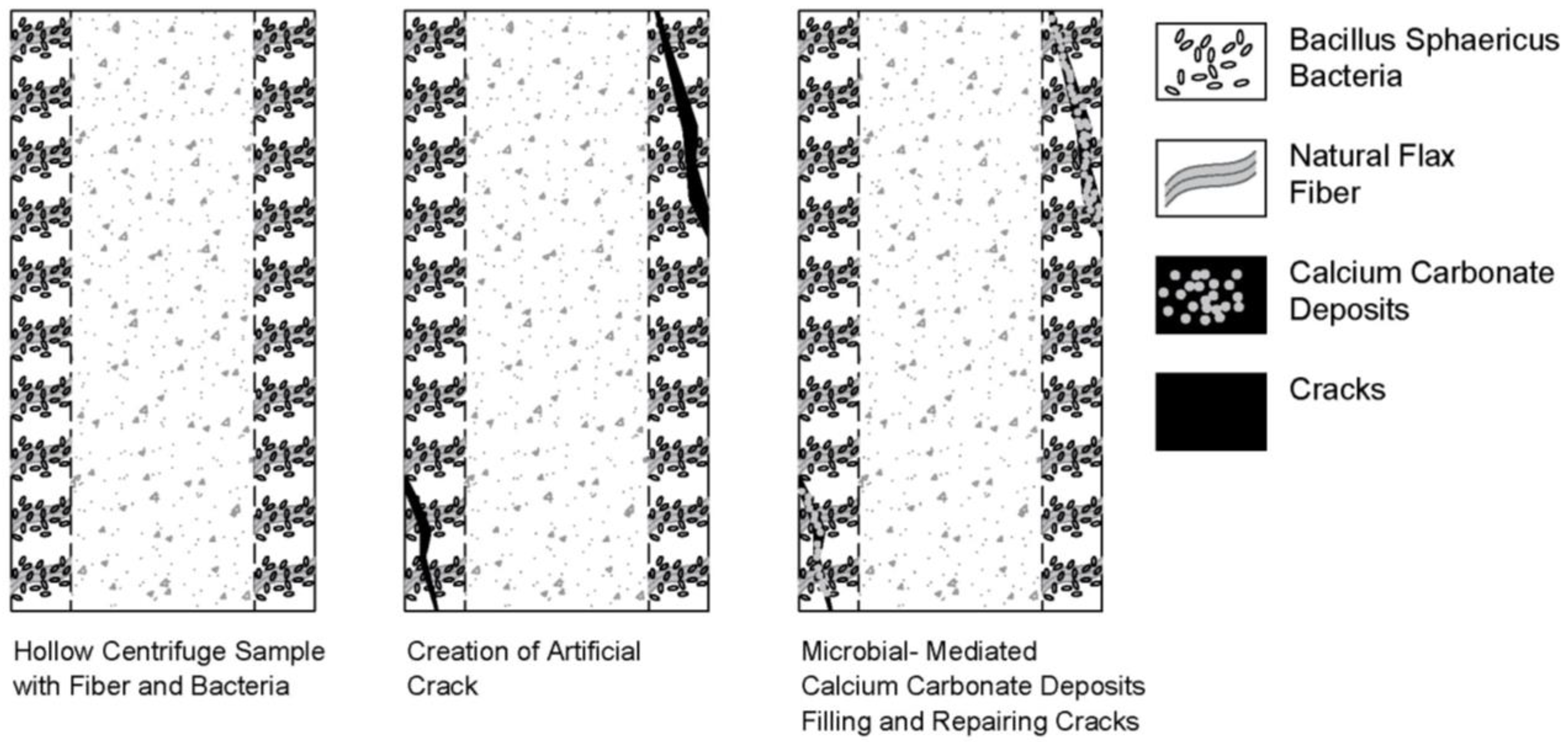 Buildings 15 01064 g004