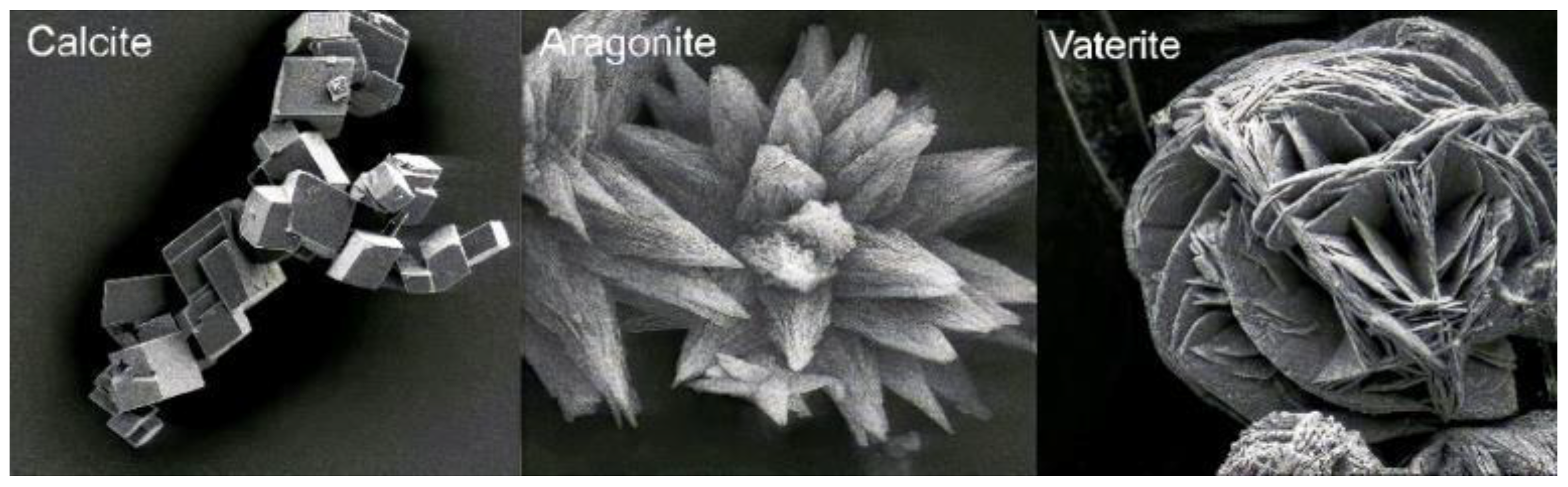 Buildings 15 01064 g005