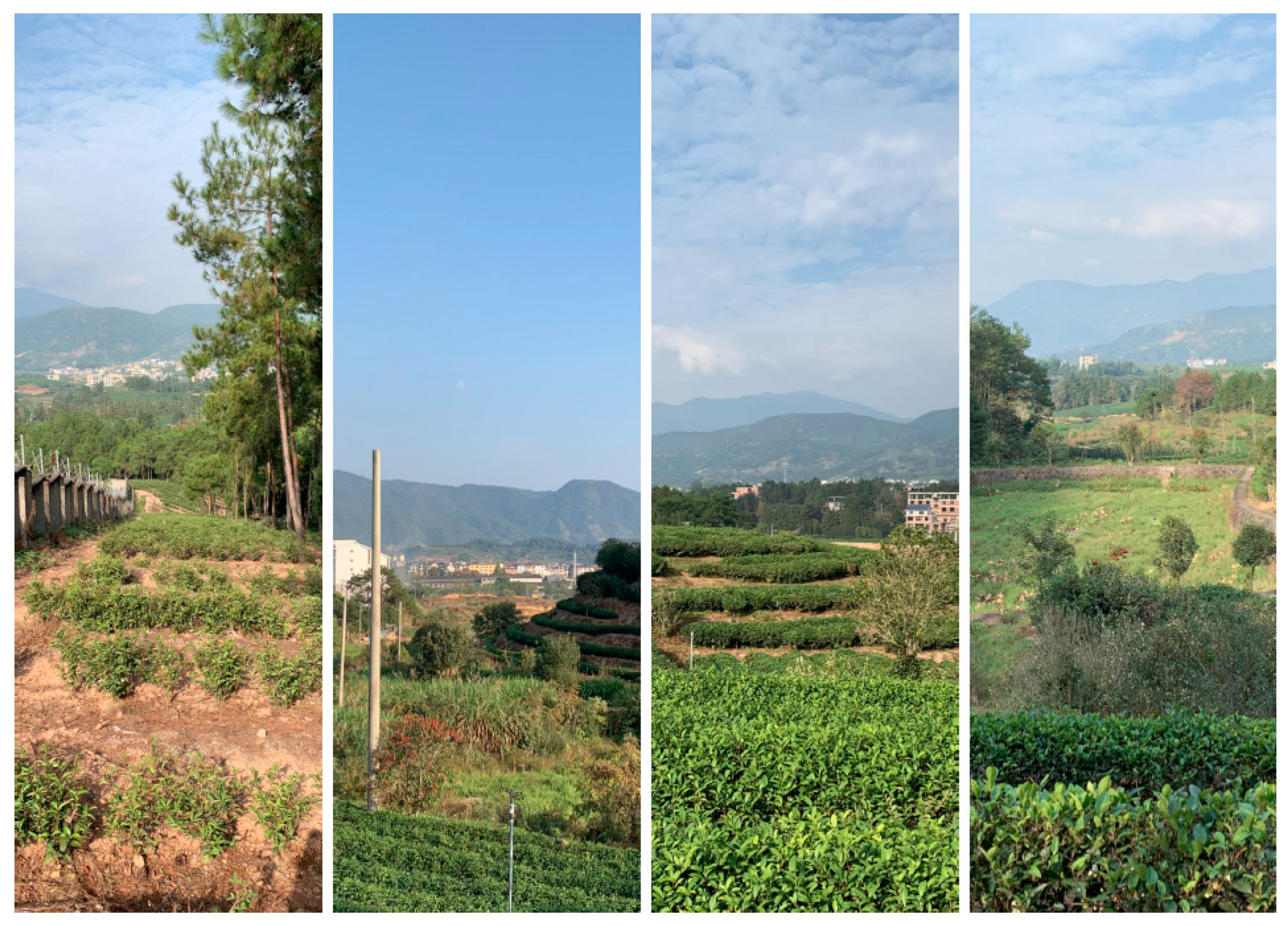 Buildings 15 01112 g016 Buildings 15 01112 g016