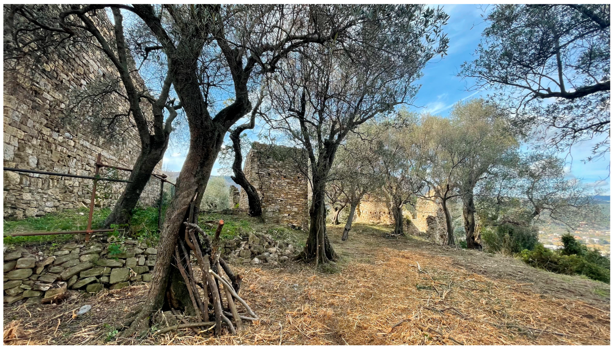 Buildings 15 01231 g002