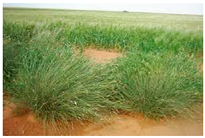 Buildings 15 01286 i006