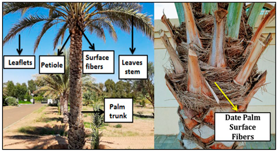 Buildings 15 01286 i010