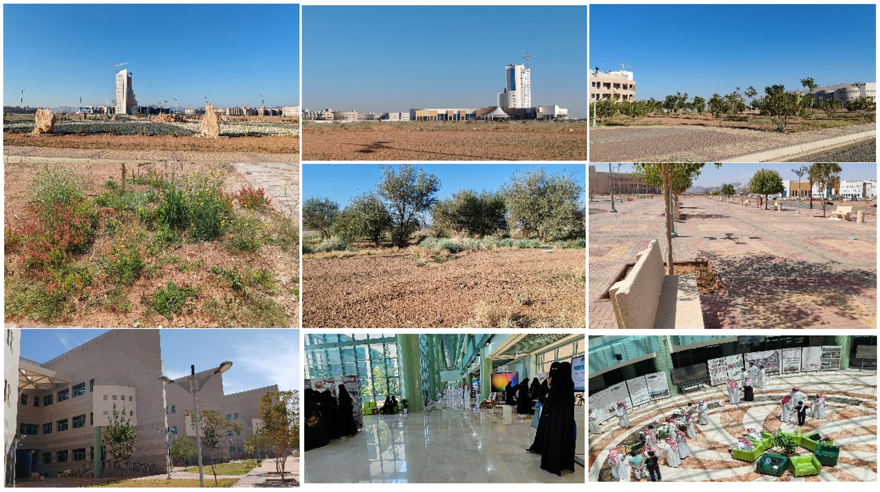 Buildings 15 01468 g009