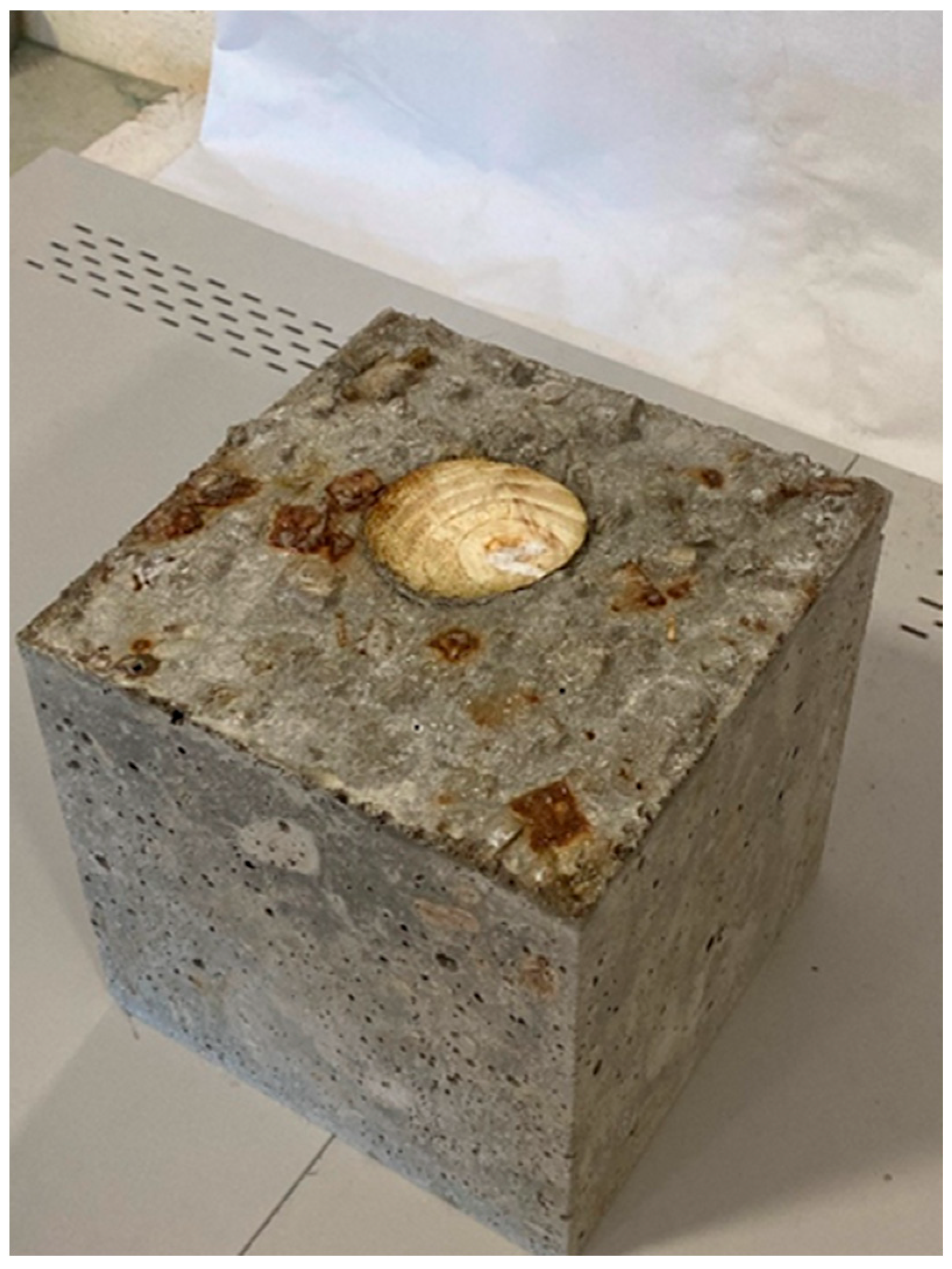 Buildings 15 01532 g015