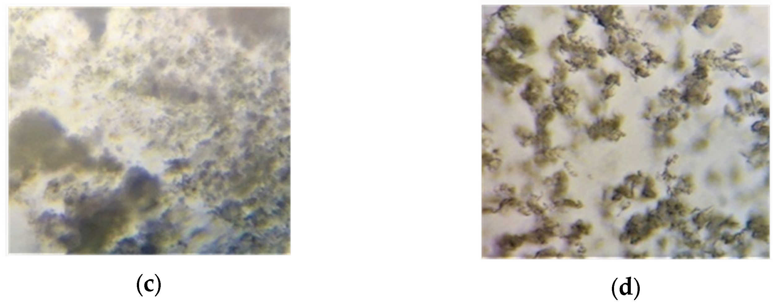 Buildings 15 01598 g012b